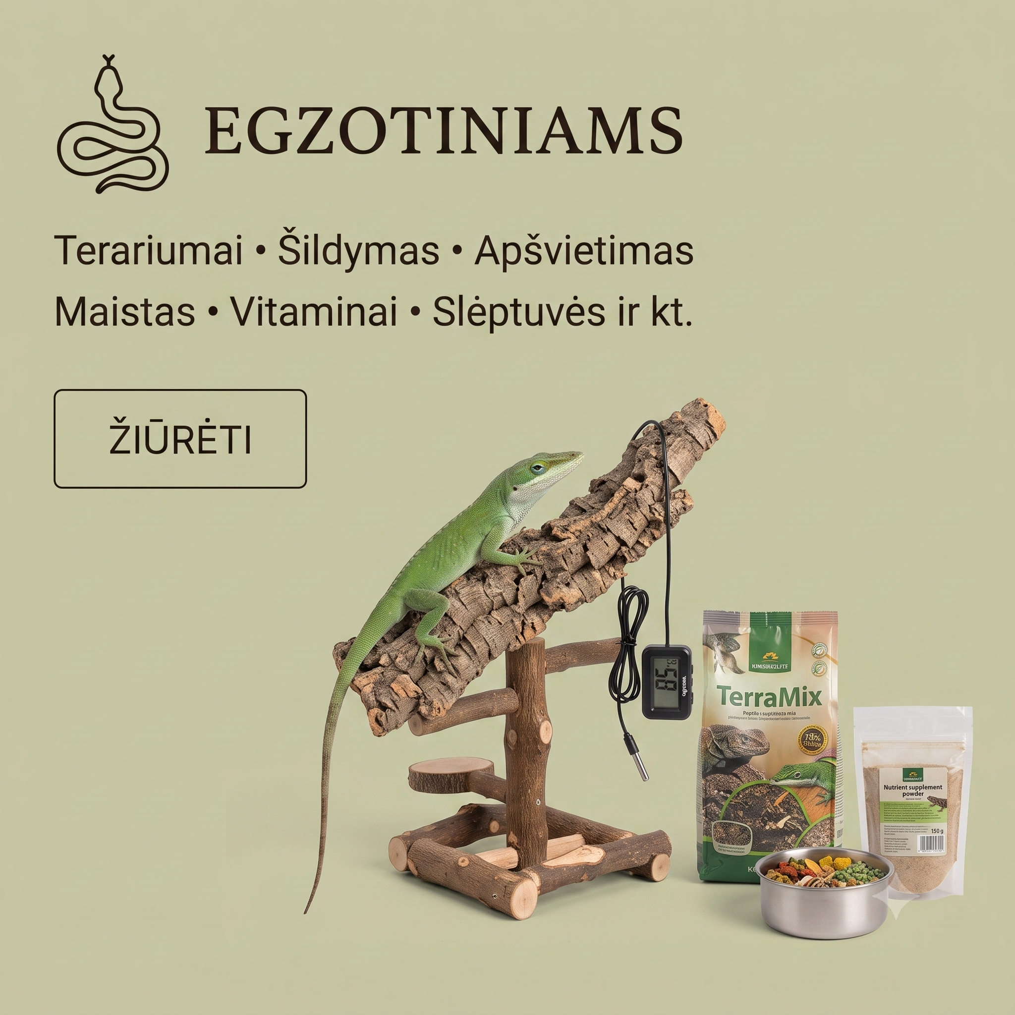 Egzotiniams
