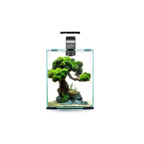 Aquael Shrimp Set Smart Day&Night 10 Black akvariumas su įranga krevetėms 10 l