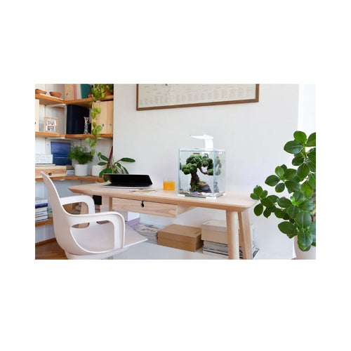 Aquael Shrimp Set Smart Day&Night 30 White akvariumas su įranga krevetėms 30 l