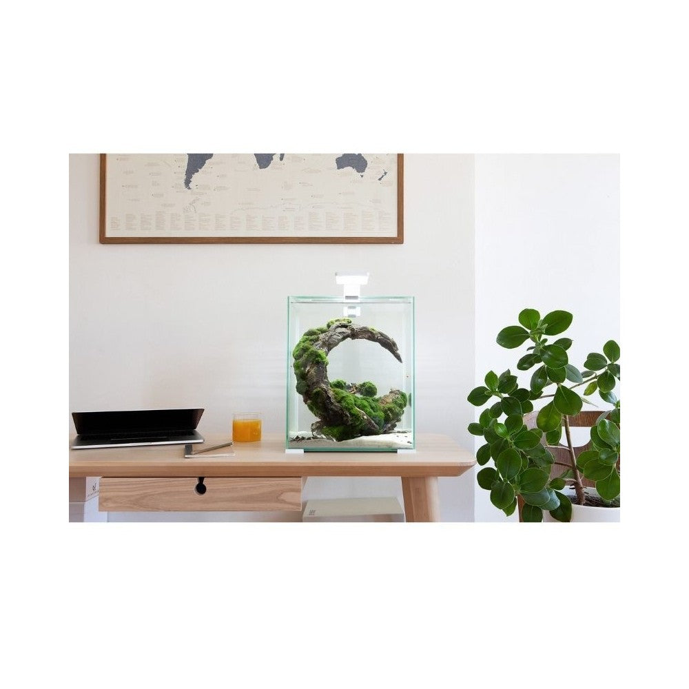 Aquael Shrimp Set Smart Day&Night 30 White akvariumas su įranga krevetėms 30 l