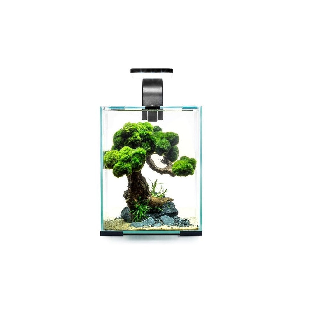 Aquael Shrimp Set Smart Day&Night 30 White akvariumas su įranga krevetėms 30 l