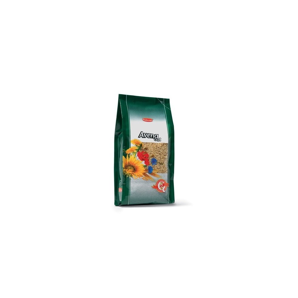 Avena Decorticata lukštentos avižos 1kg