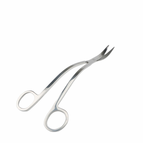 Banguotos žirklės, 25 cm