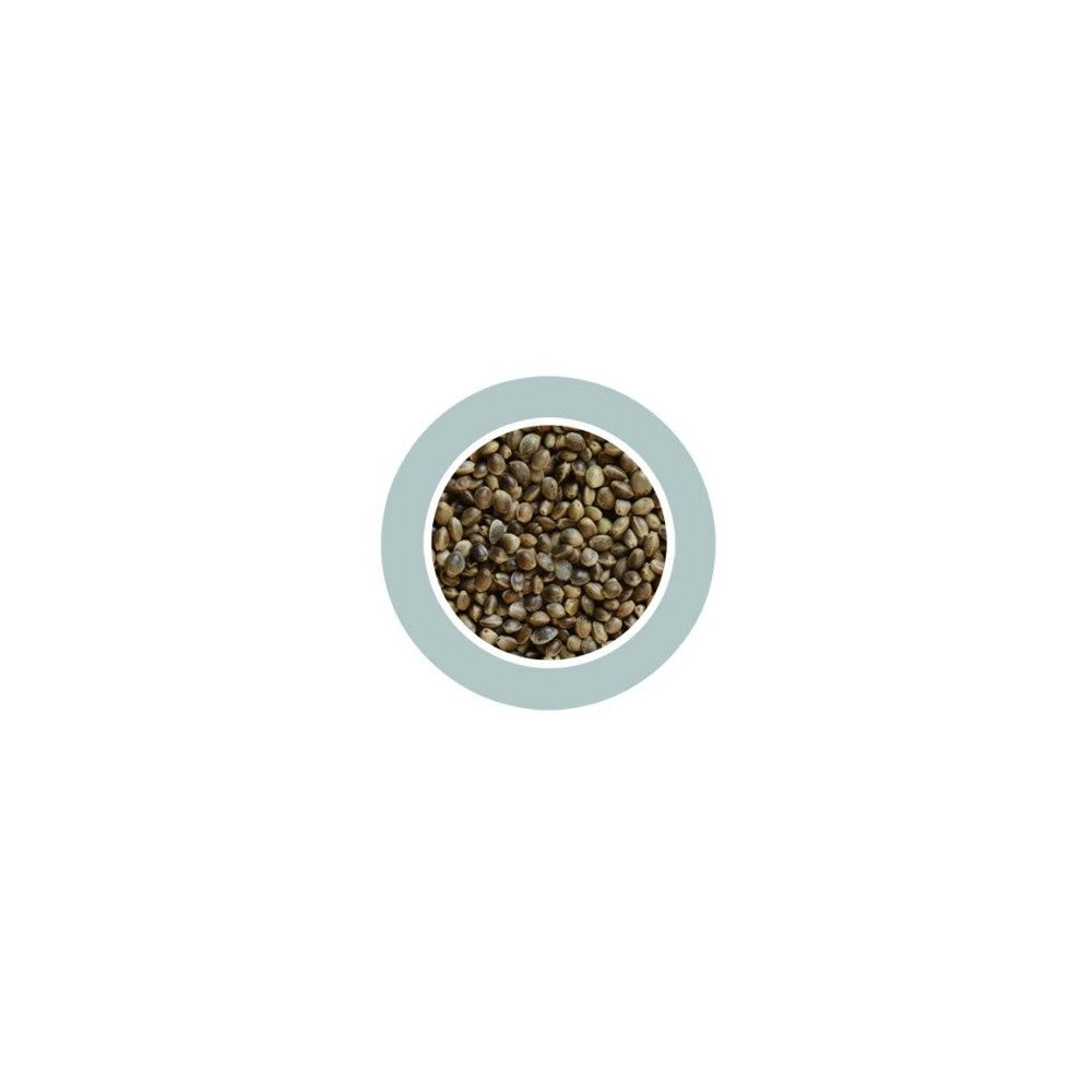 Canapuccia Small Hampseed kanapių sėklos 850 g