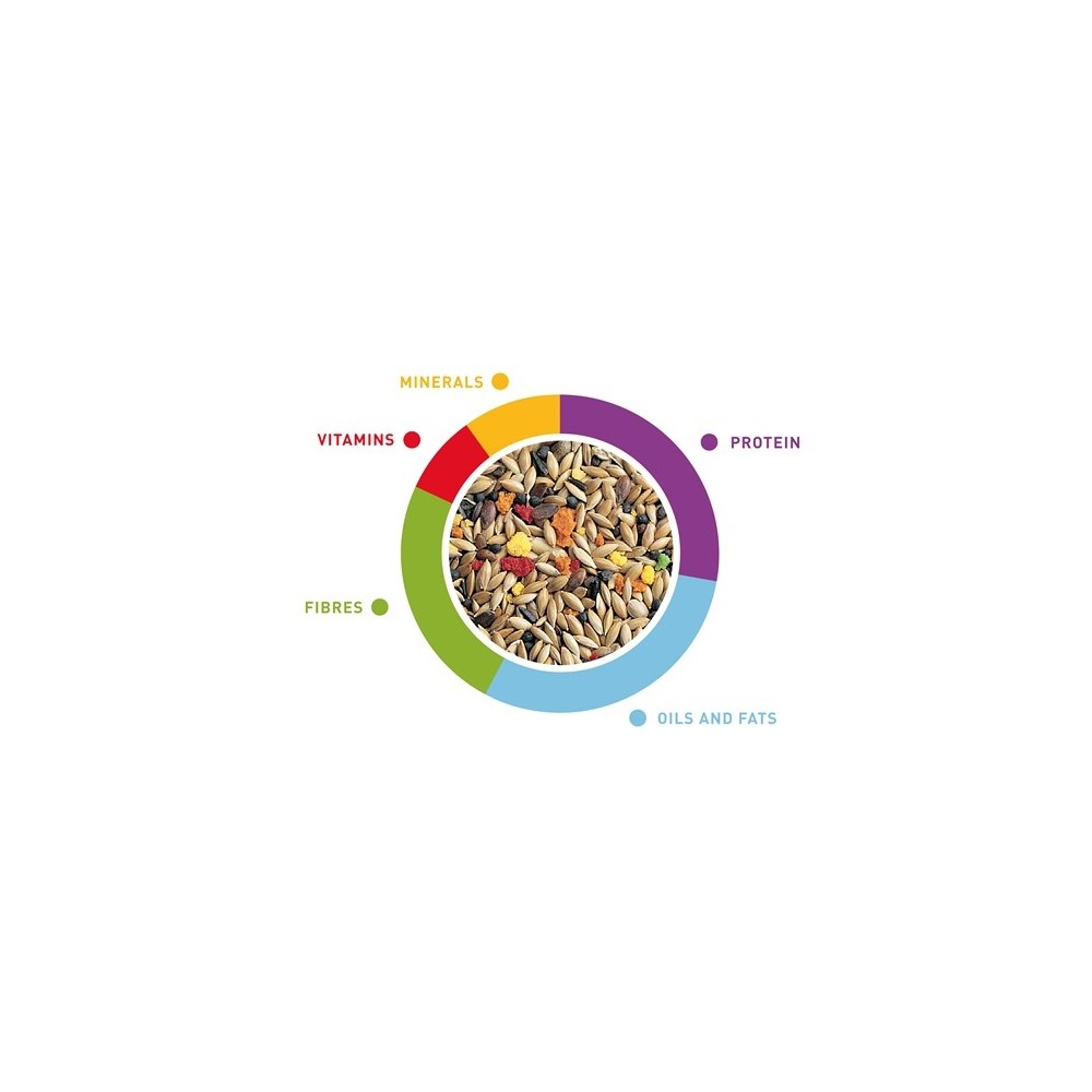 Canarini Grandmix maistas kanarėlėms 400 g
