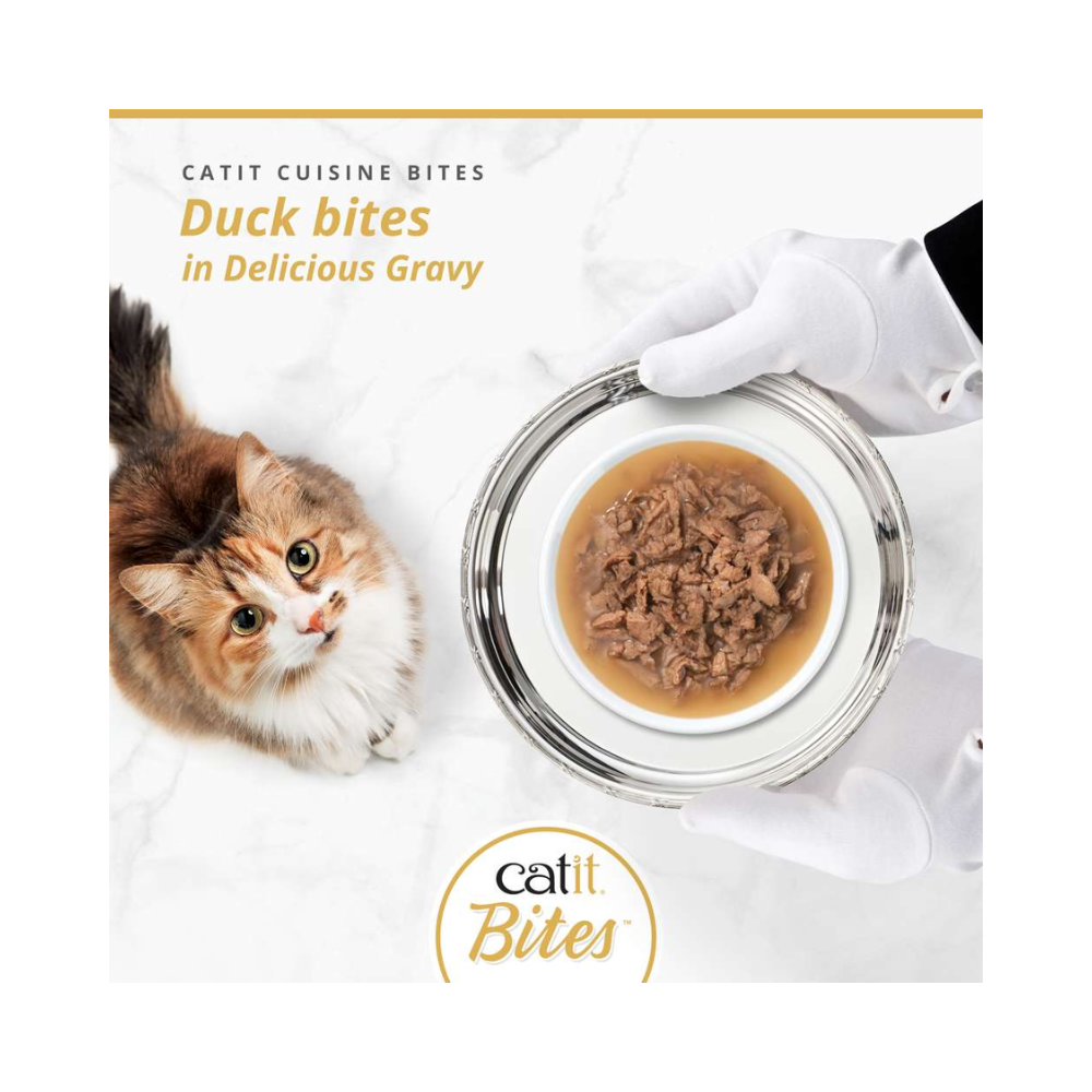 Catit Cuisine Bites konservai katėms su antiena, 75 g