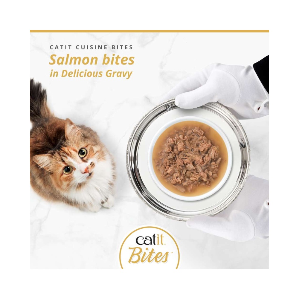Catit Cuisine Bites konservai katėms su lašiša, 75 g