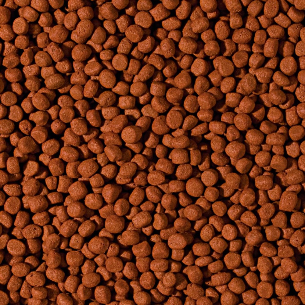 Tropical Cichlid Carnivore Medium Pellet granuliuotas maistas mėsėdžiams ciklidams 1000 ml