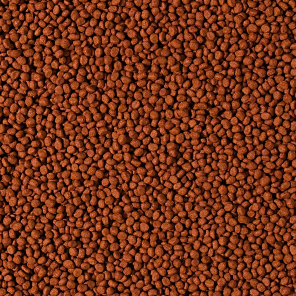 Tropical Cichlid Carnivore Small Pellet granuliuotas maistas mėsėdžiams ciklidams 250 ml