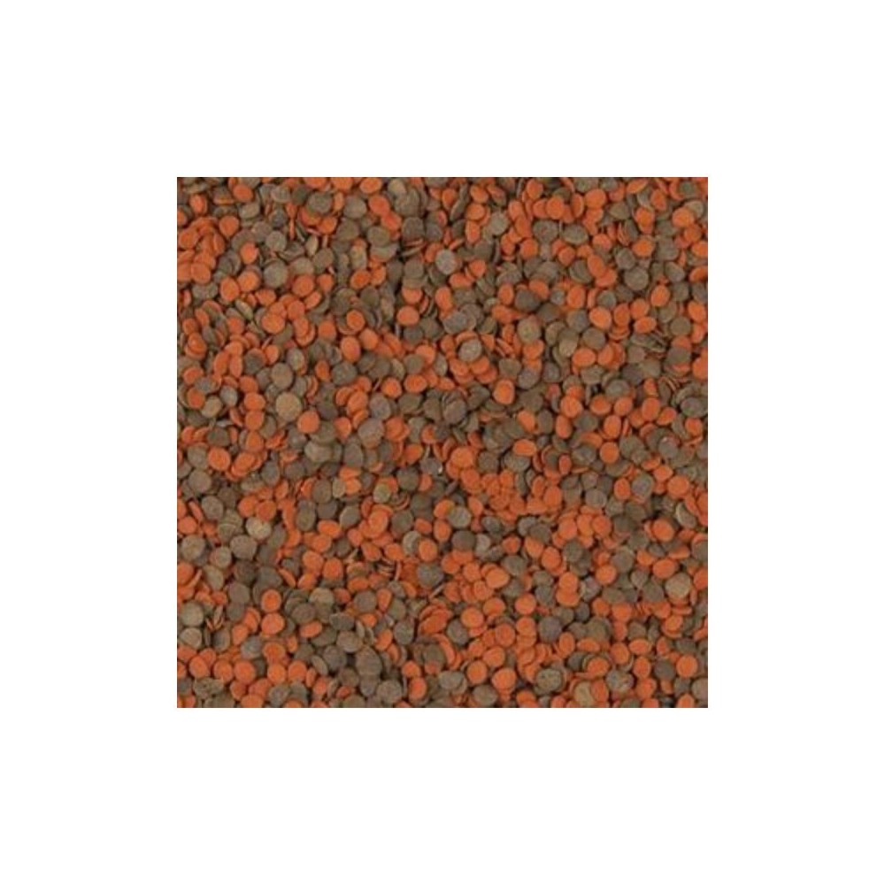 Tropical Cichlid Chips maistas ciklidams 1000 ml