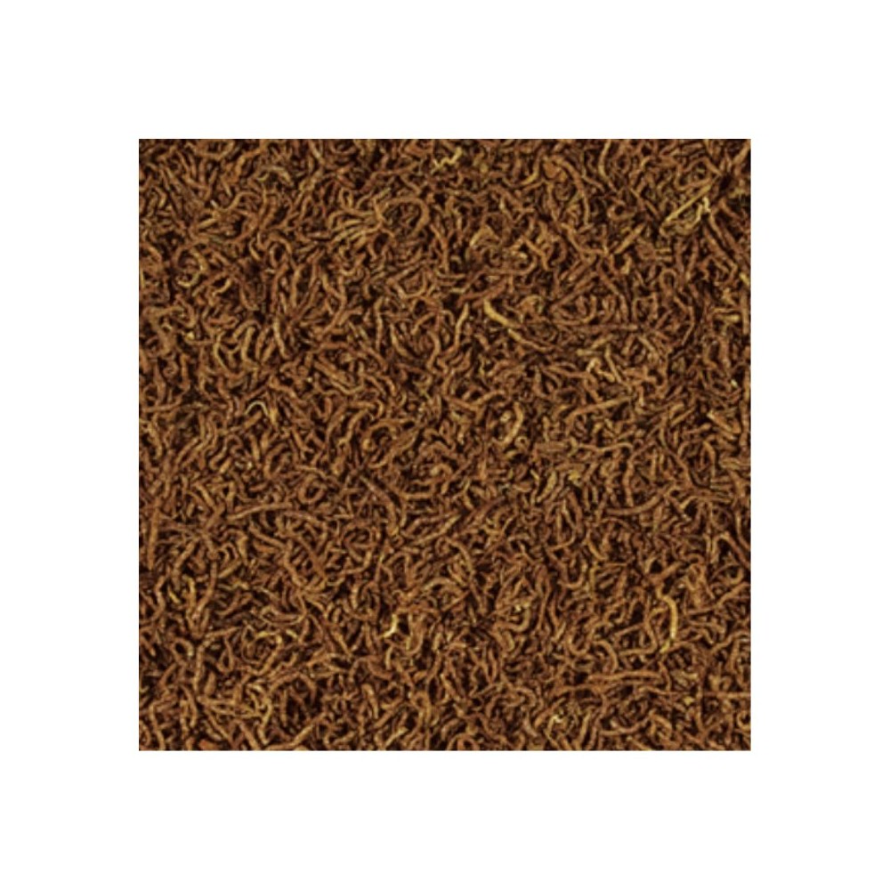 Tropical FD Bloodworms pašaras ropliams ir amfibijoms 100 ml