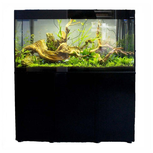 Glossy 120 spintelė stačiakampė juoda su durelėmis, 120 cm