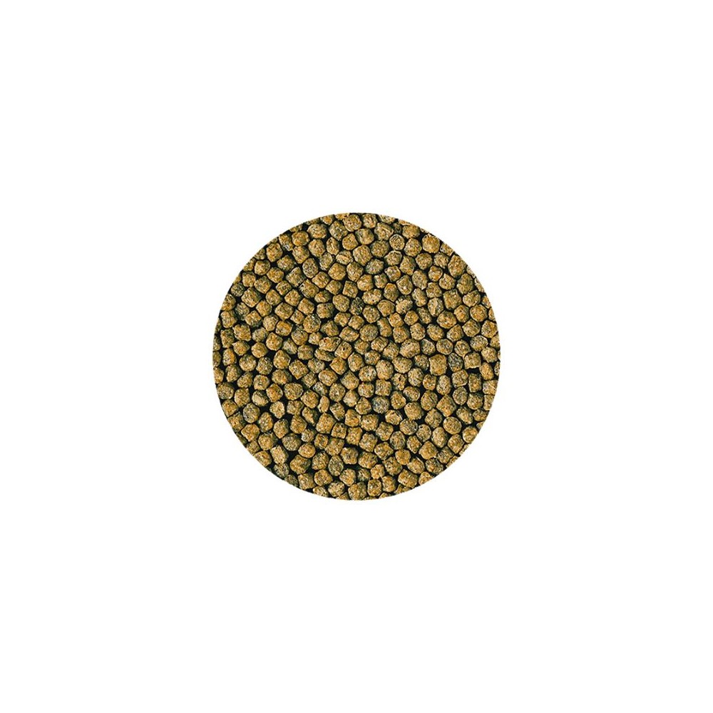 Hikari Goldfish Staple Baby visavertis pašaras žuvims 100 g