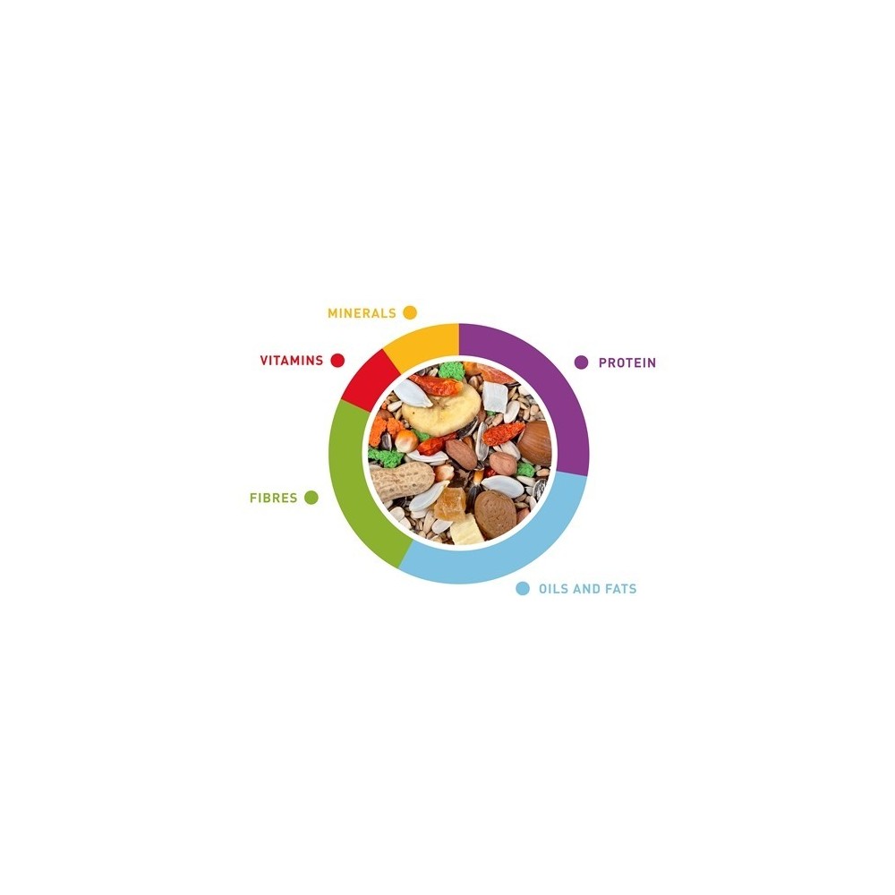Lesalas didžiosioms papūgoms (amazonėms, žako, kakadu, aroms) Grandmix Pappagalli 2x600 g