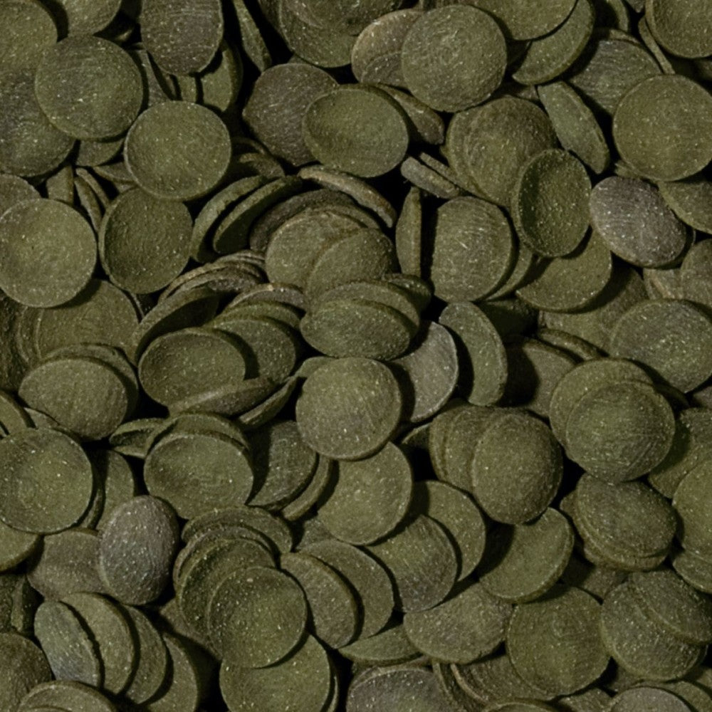 Tropical Green Algae Wafers pašaras dugninėms žuvims 1000 ml
