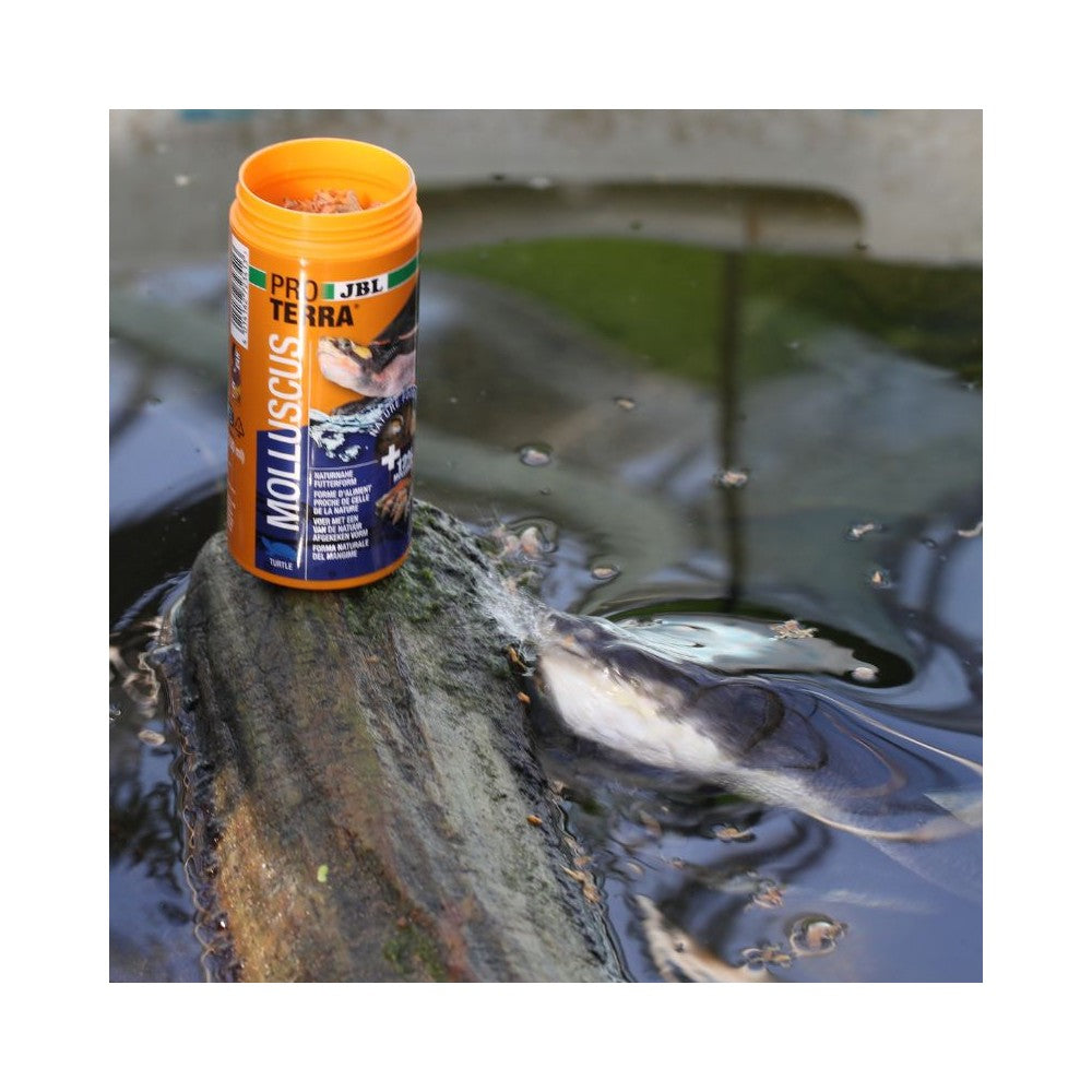 JBL ProTerra pašaras vėžliams Molluscus, 250 ml