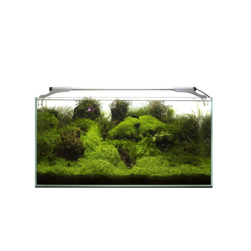 Leddy Slim Plant, 32 W, 80-107 cm, baltas