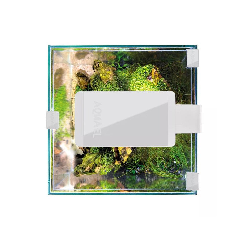 Leddy Smart 4,8 W Plant šviestuvas (baltas)
