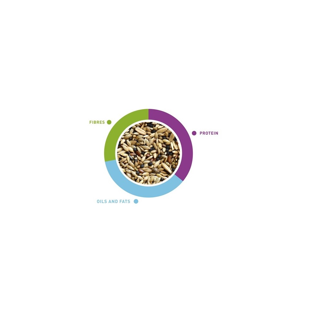 NaturalMix Canarini maistas kanarėlėms 1 kg