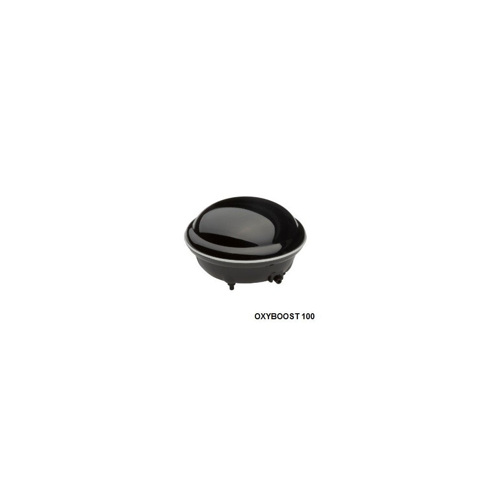 Oxyboost Plus AP-100 oro pompa, iki 100 l