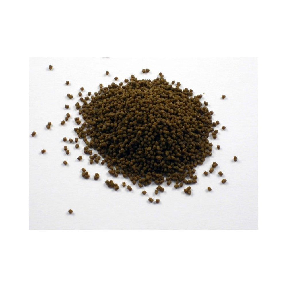 Pašaras žuvims Dr. Bassleer Biofish Food Acai L, 60 g