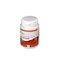 Pašaras žuvims Dr. Bassleer Biofish Food Garlic M, 60 g