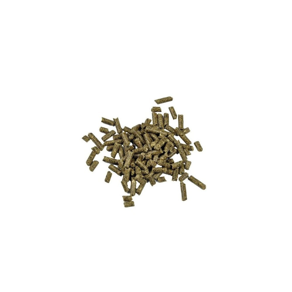Pašaras žuvims Dr. Bassleer Biofish Food Shrimp Sticks Garlic, 60 g