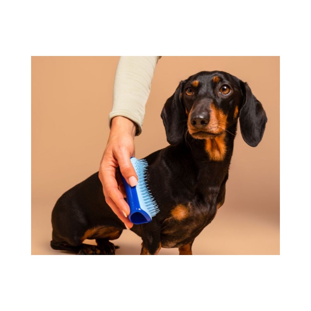 Pet Teezer plaukų šepetys gyvūnams De-Shedding&Dog Grooming Brush Small, žydras