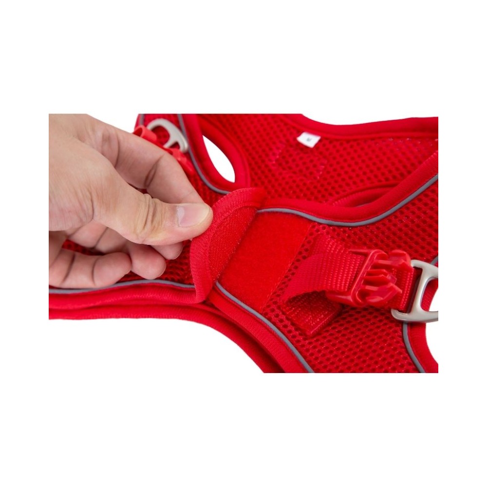Petnešos Soft, turkio spalvos, L, 50-65 cm