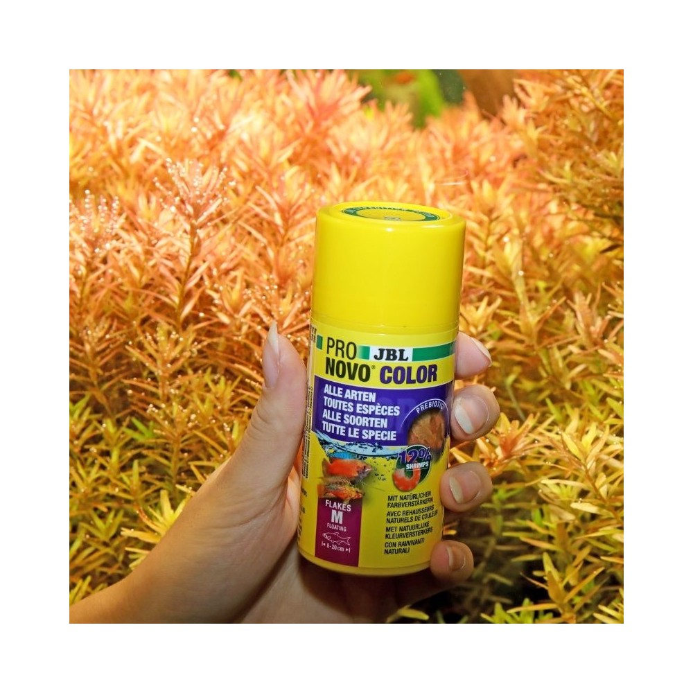 ProNovo Color Flakes M universalus pašaras žuvims 100 ml