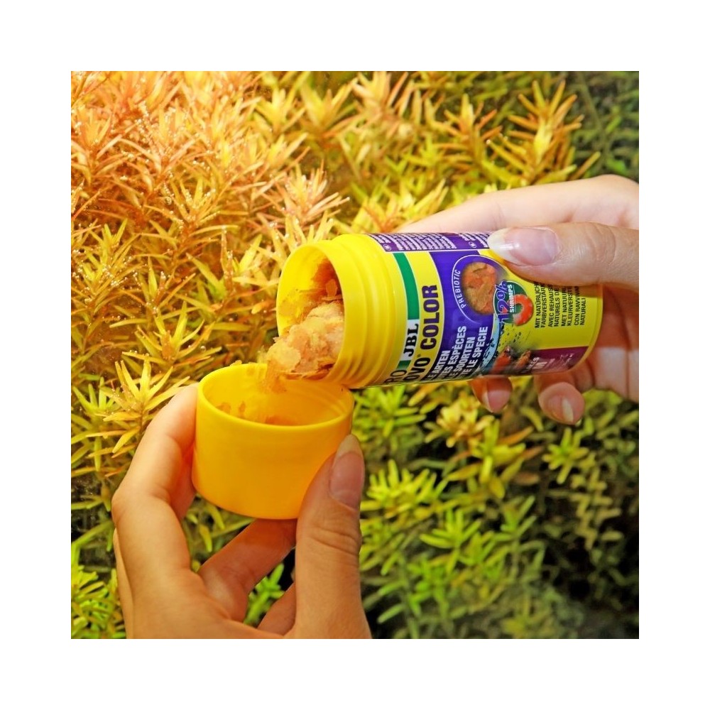 JBL ProNovo Color Flakes M universalus pašaras žuvims 250 ml
