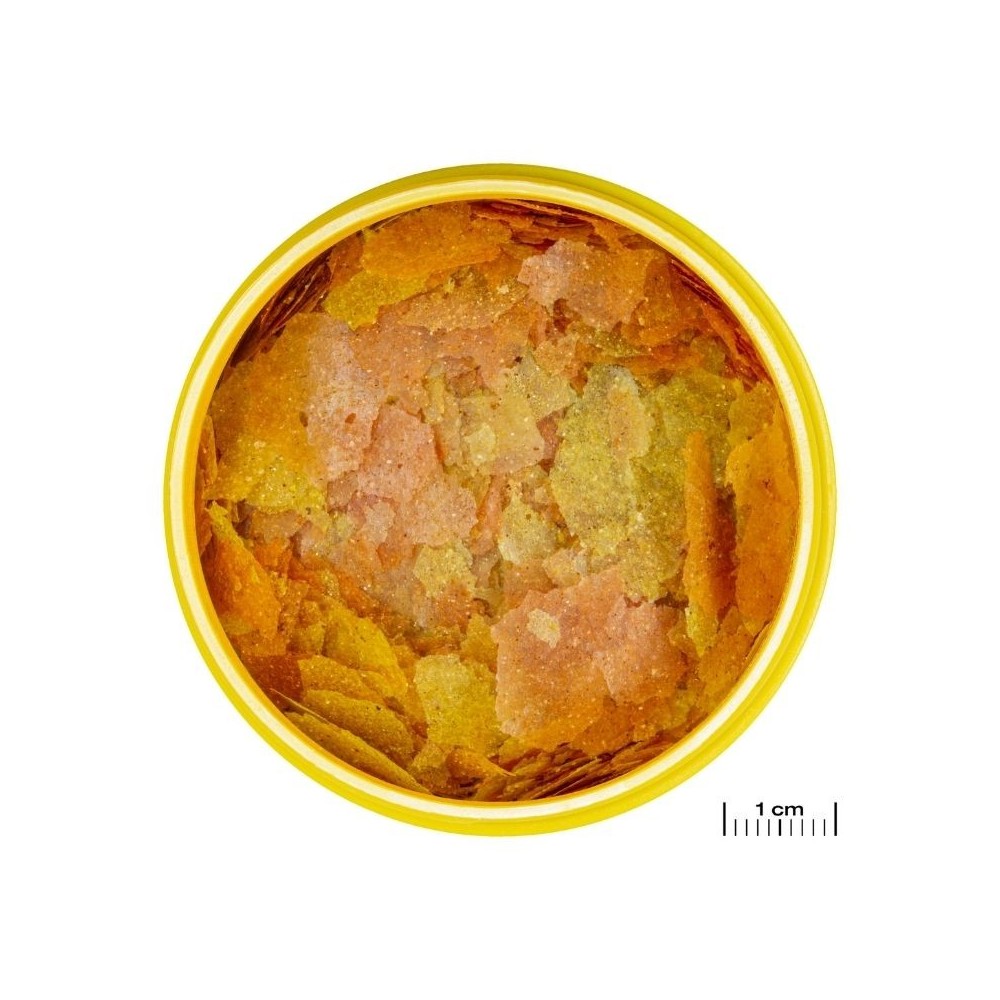 JBL ProNovo Color Flakes M universalus pašaras žuvims 250 ml