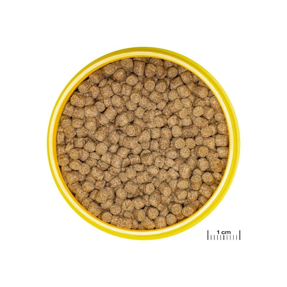 JBL ProNovo Lotl Grano M pašaras aksolotliams 250 ml