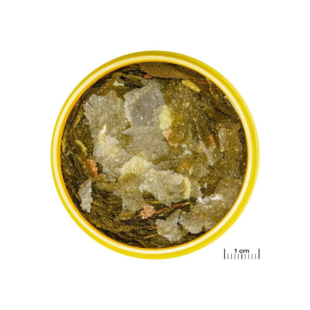 JBL ProNovo Malawi Flakes M pašaras žuvims 1000 ml