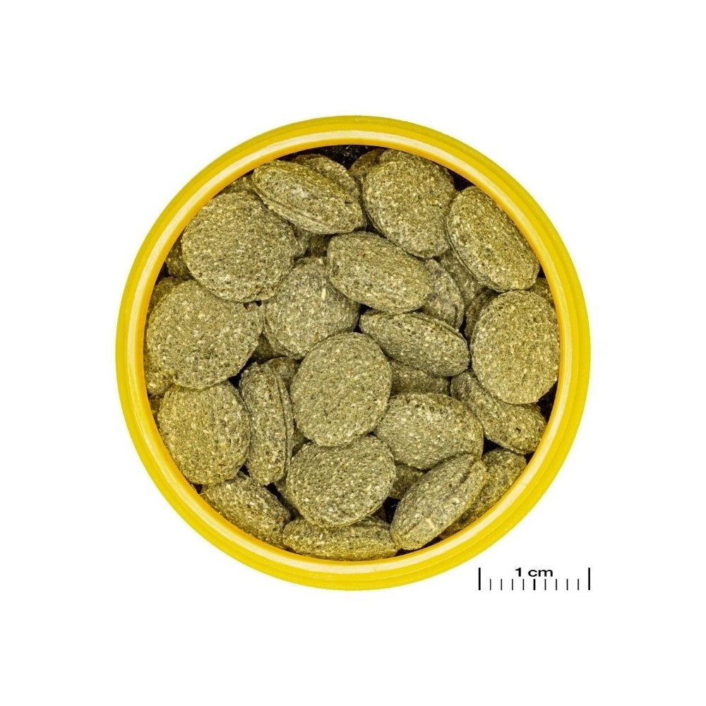 JBL ProNovo Pleco Wafer M pašaras žuvims 250 ml