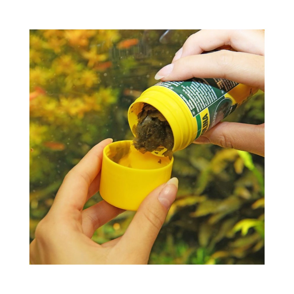 ProNovo Spirulina Flakes M pašaras žuvims 100 ml
