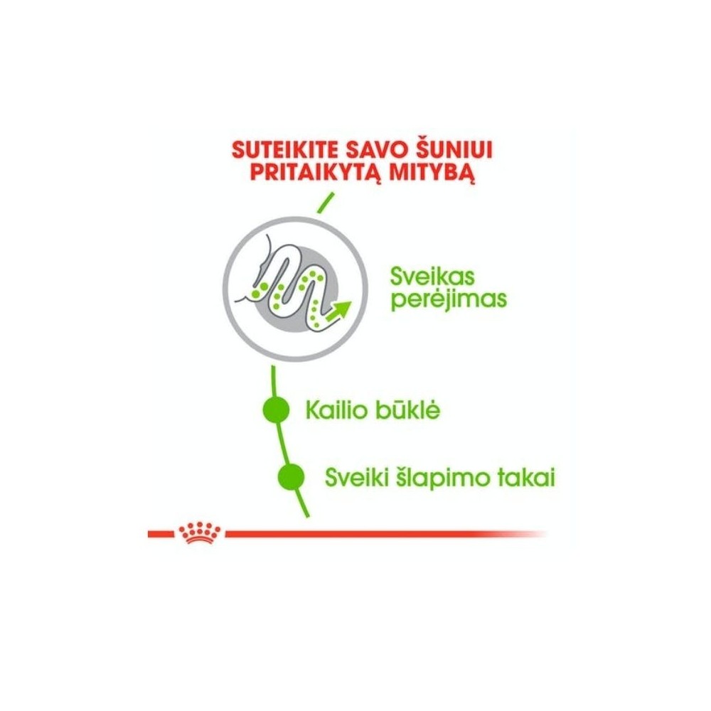 Royal Canin SHN X-SMALL Adult maistas suaugusiems šunims 0,4 kg