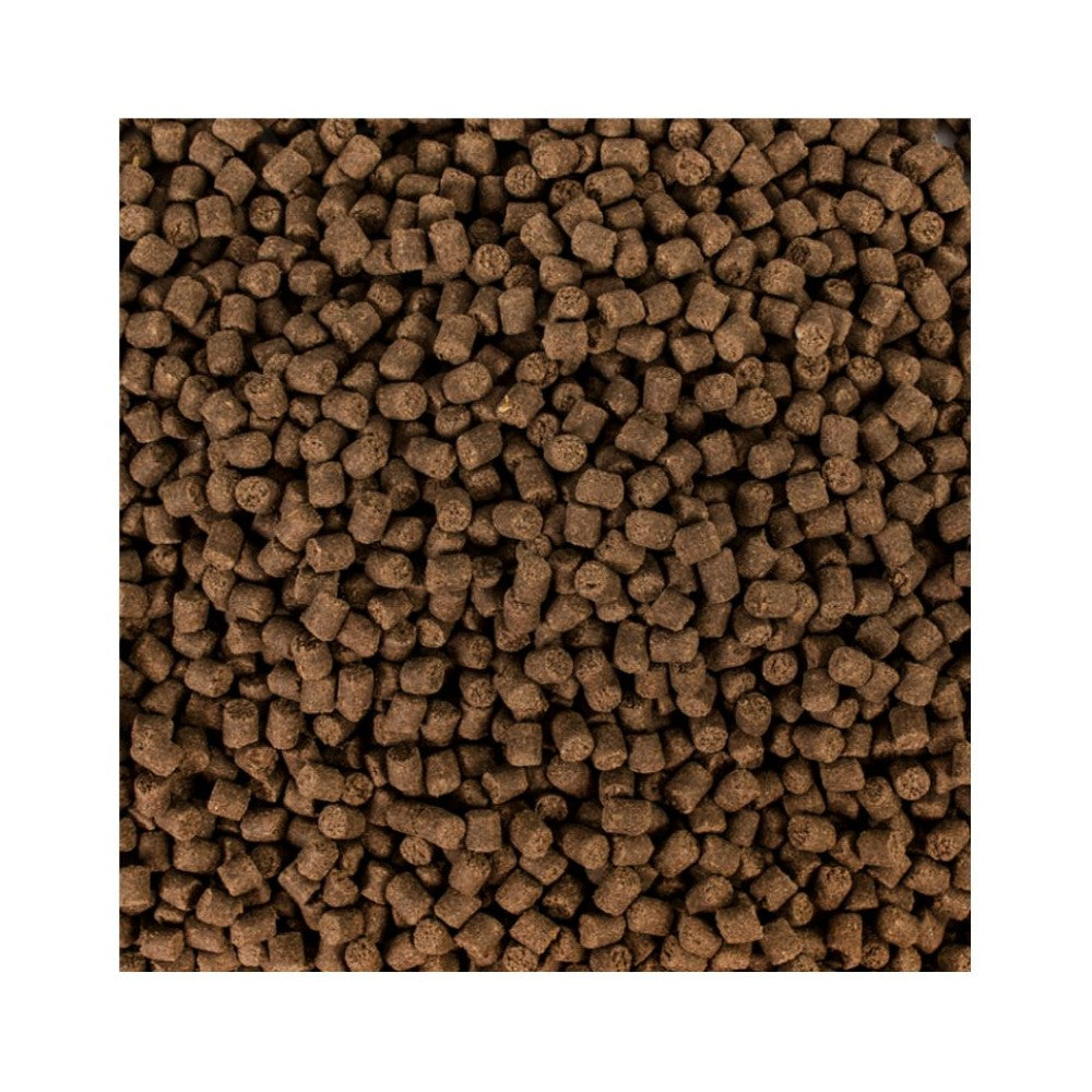 Tropical Sterlet Basic M maistas eršketams 500 g