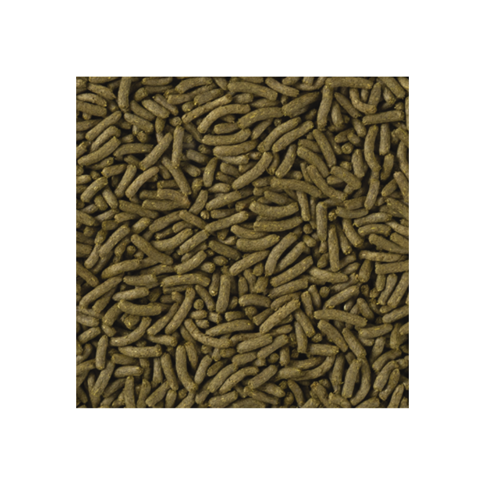 Tropifit All in 1 Chinchilla&Degu pašaras šinšiloms ir degu, 500 g