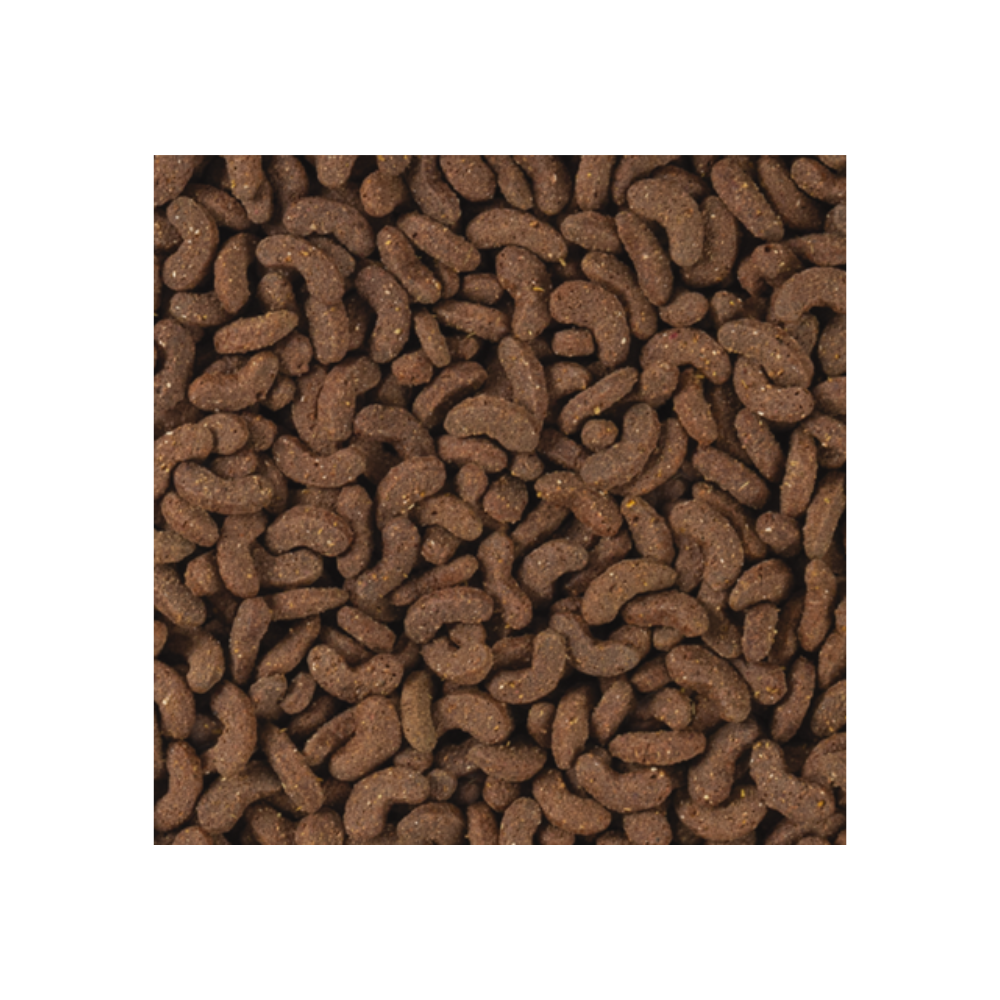 Tropifit All in 1 Rat&Mouse pašaras žiurkėms ir pelėms, 500 g