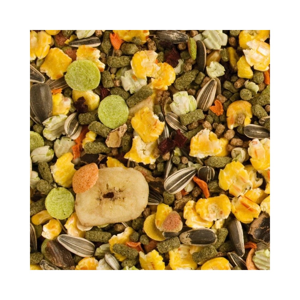 Pašaras šinšiloms Tropifit Chinchilla, 2x500 g