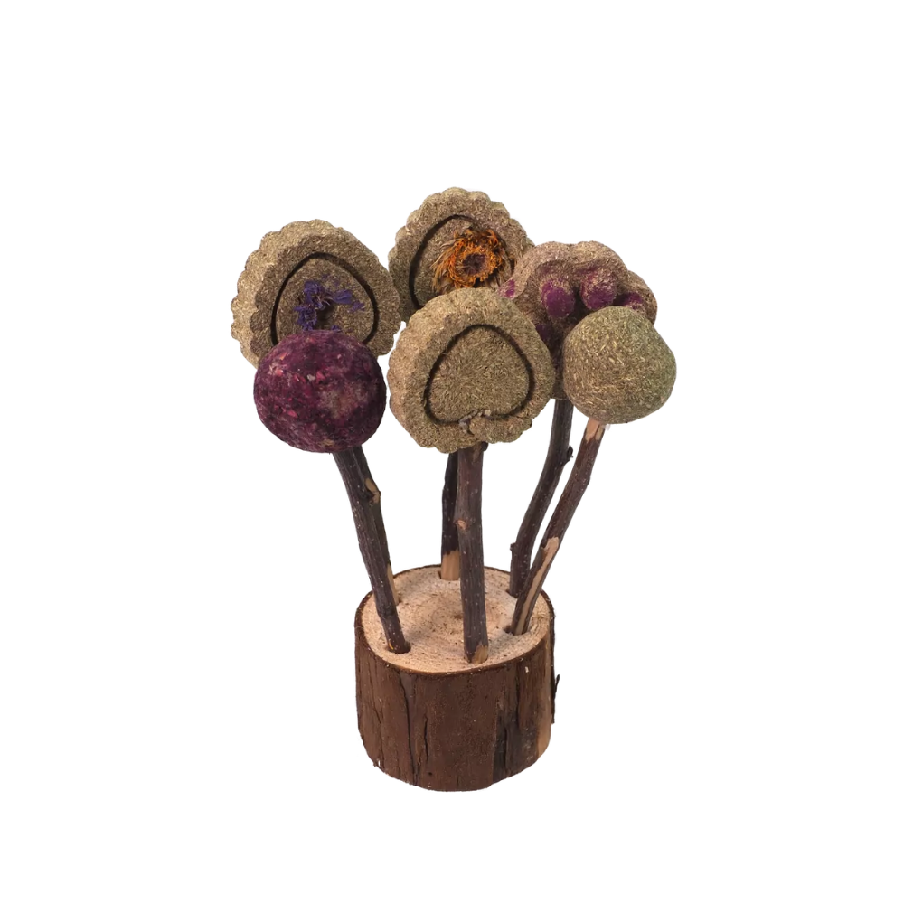 Žaislas - skanėstas smulkiems gyvūnams, 17 cm